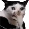 vthnhthi8
