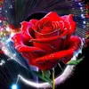 abdoofc481