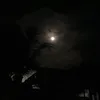 1shanniissecretaccount