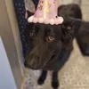 therealtrippinghazard