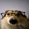 st4rs.__0