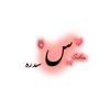 sidrach511