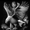 🦅 ا̍ڸـ؏ـڦٰا̍ب🦅