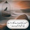innocent_mughal10
