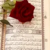 user6080206511712