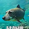 brdish5