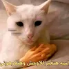 abadyyyyyyyyyy