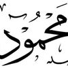 mahmoud.loz
