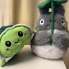 Study with Turtle & Totoro