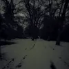 userdgbe3rzuvp