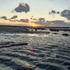 jeanne_jrc