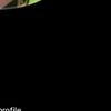 seanfog867