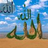 iluu.muhammado