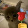 hola...0911