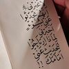 white_rose339