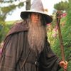 gandalf the Grey