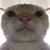 Jin ASMR