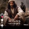 user5816267600238