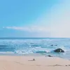 danglinh9500