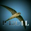 p.45c4.l