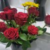 user8731702216699