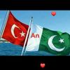 musa.kaleem62