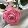 wasjc6