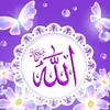 user8162284476951