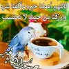 ilbou.ayad
