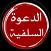 habib.tamour.alie