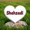 shehzadimughal83