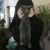 yebanka_1727