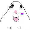 kwynxvaz