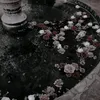 clou24._9