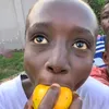 shay_bochka