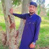 user84582960027462