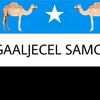 xaliimo.sacdiyo382