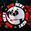 Wow News TV