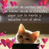 gabrielarosales9338