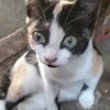 hardi.0122