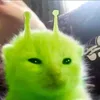 nakkilulu1