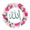 muhammadbutt656