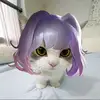 sim_sam10