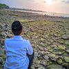 kg_falll