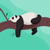 r7panda