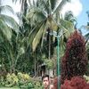 justine.indig
