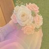 .tiktok.com.tania567tan7