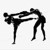fightng_kungfu66