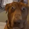 bbalerzzz