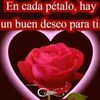 fely.villca